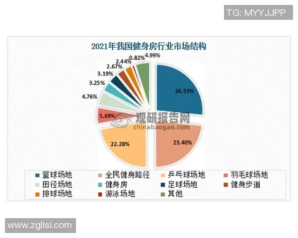 深圳篮球队技术分析与战术创新的深度探讨与展望 深圳篮球队技术分析与战术创新的深度探讨与展望