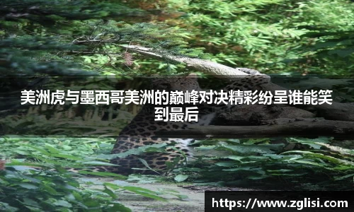 九游体育